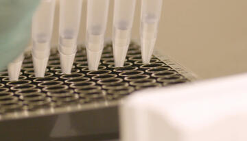 purina-institute-dna-section