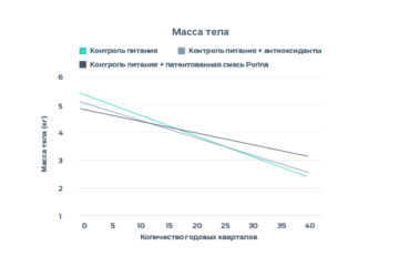 Инфографика