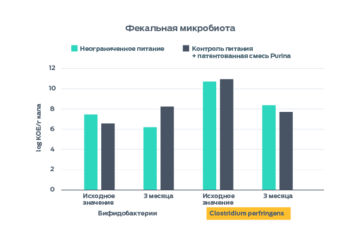 Инфографика