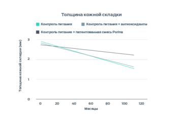 Инфографика