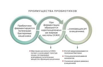 Wheat Aleurone_Benefits_Russian_0.png 