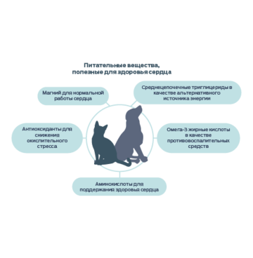 Преимущества